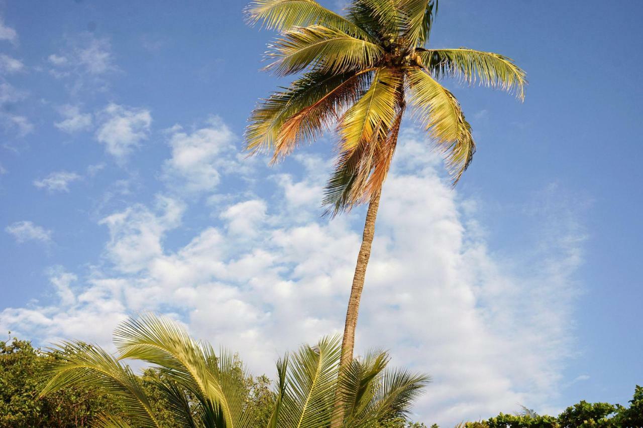Villa Havana Malpais Exteriér fotografie